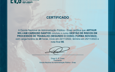 curso Gestão de Riscos em Processo de Trabalho – segundo o COSO (ENAP)